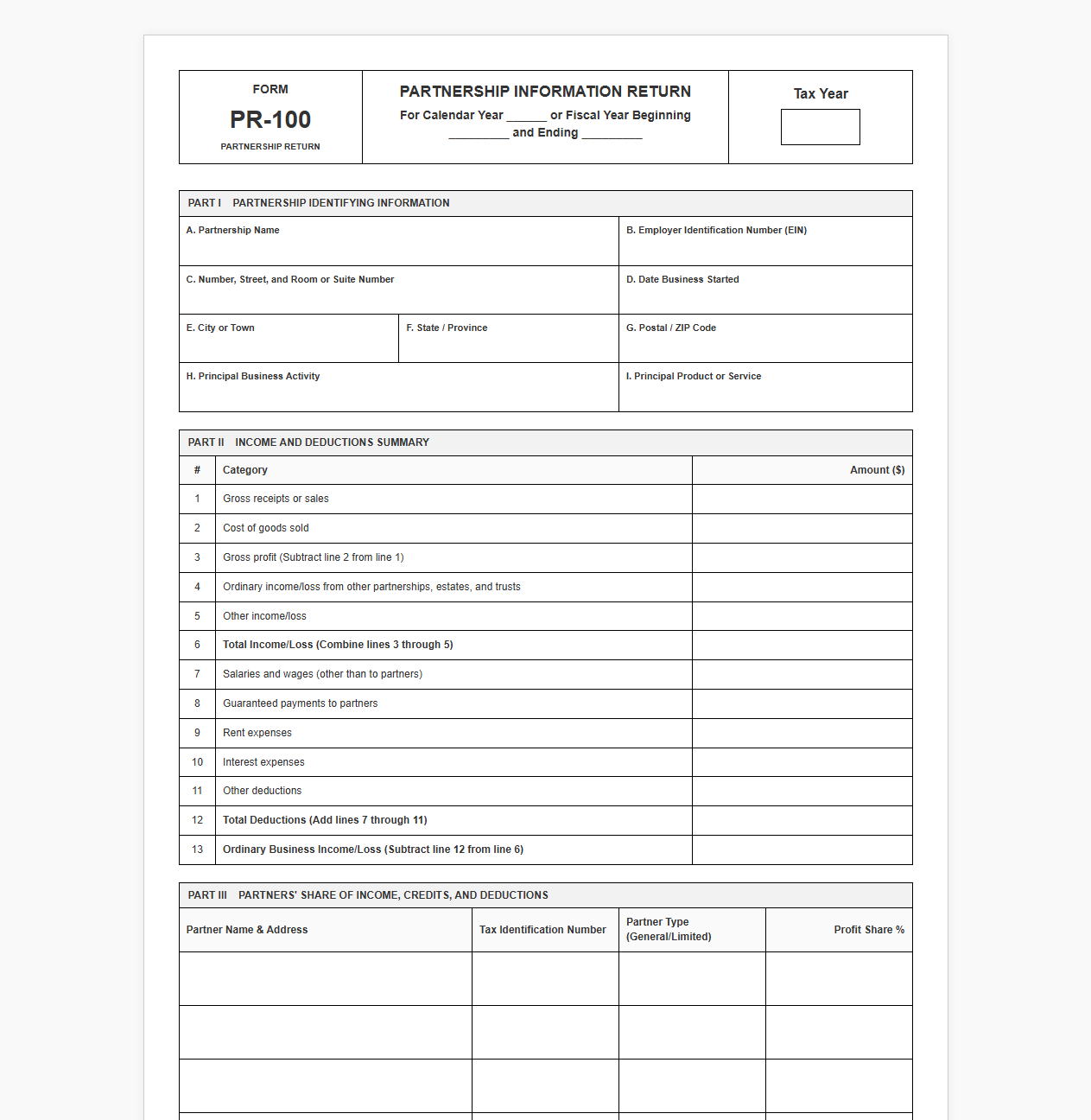 Business Partnership Information Return Template