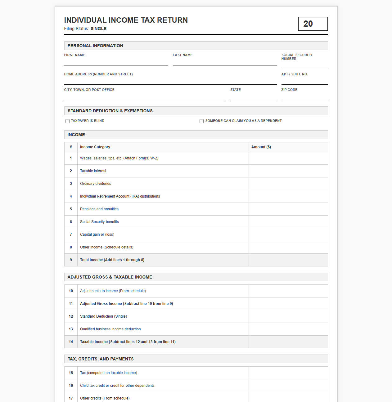 Tax Return Template for Individual Filer