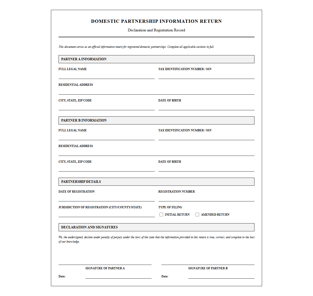 Domestic Partnership Information Return Template