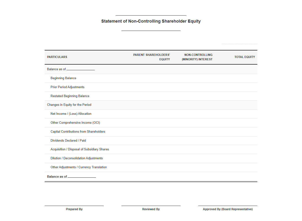 Non-Controlling Shareholder Equity Statement