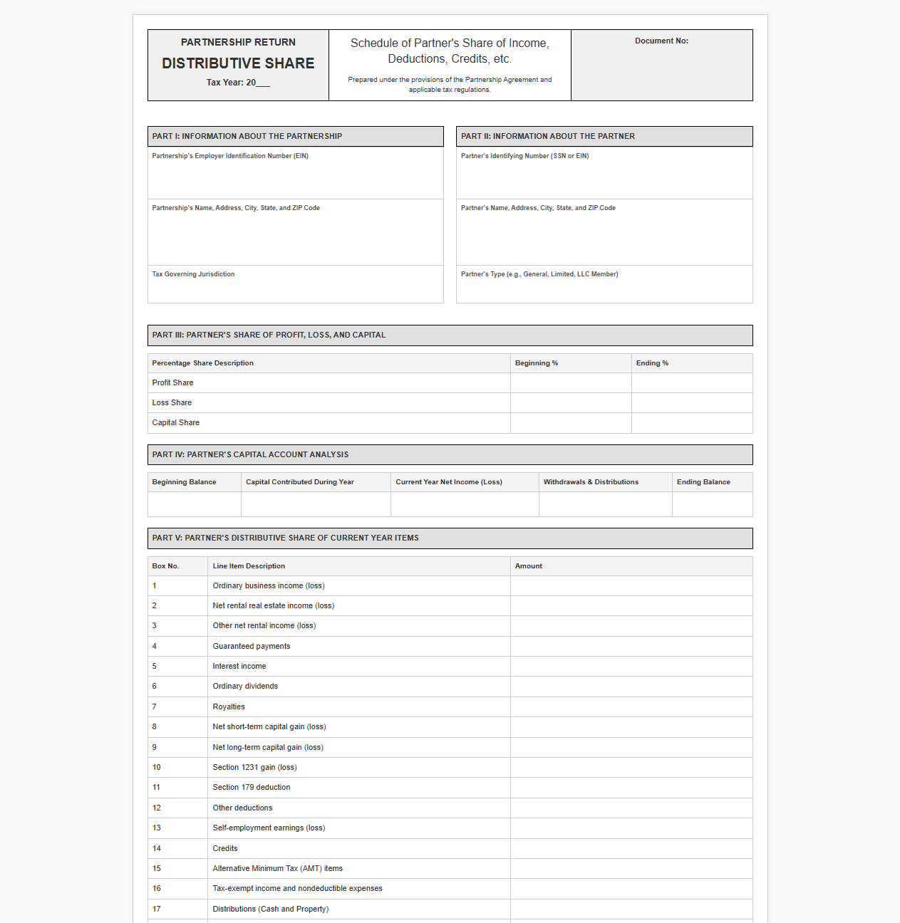 Partnership Tax Return Distributive Share Template