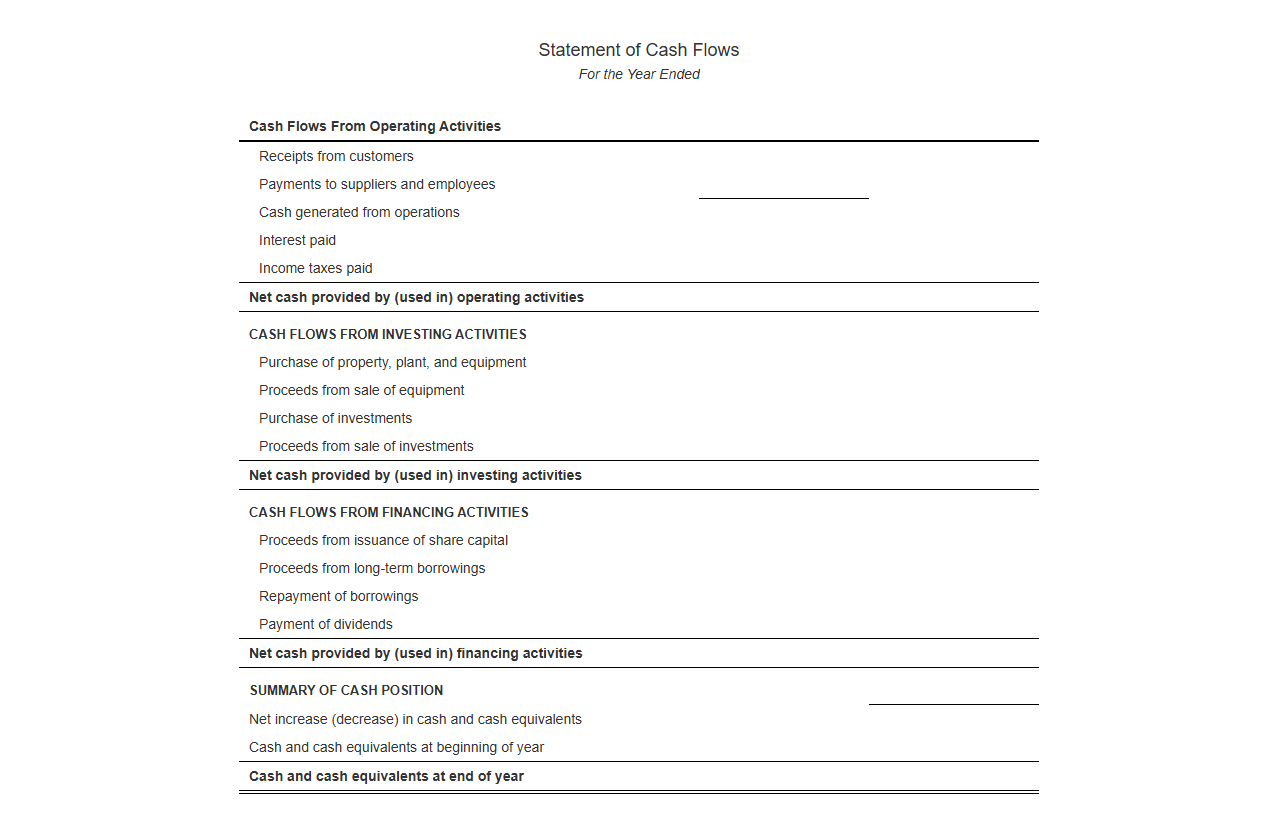 Annual Statement of Net Cash Flows Format