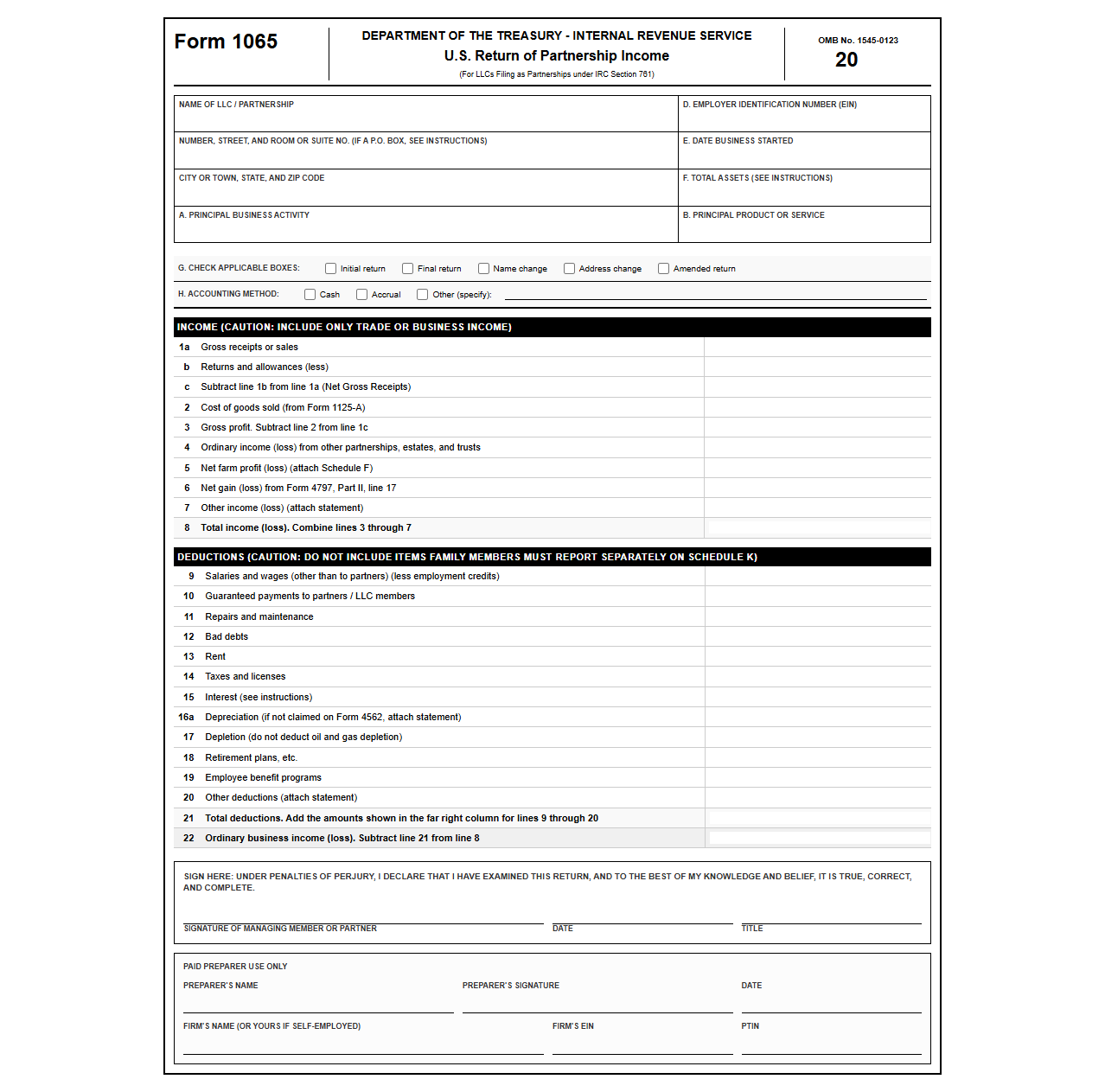 Form 1065 Template for LLC Partnerships