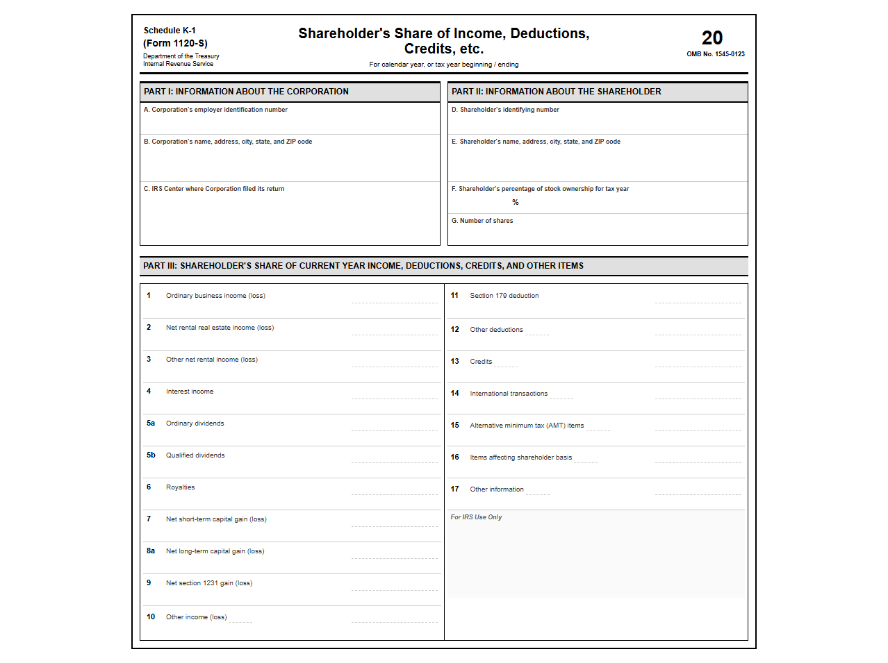 S-Corporation K-1 Allocation Return Form