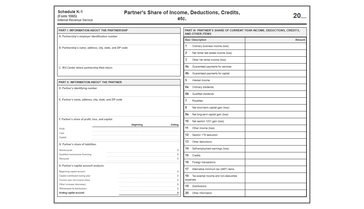 Schedule K-1 Distributive Share Reporting Template