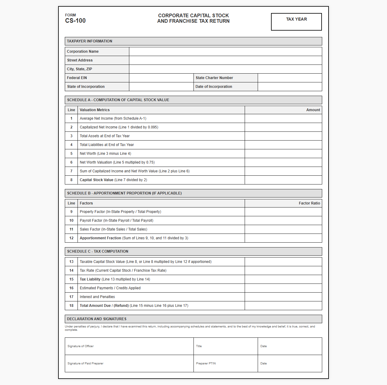 Capital Stock and Franchise Tax Return Template