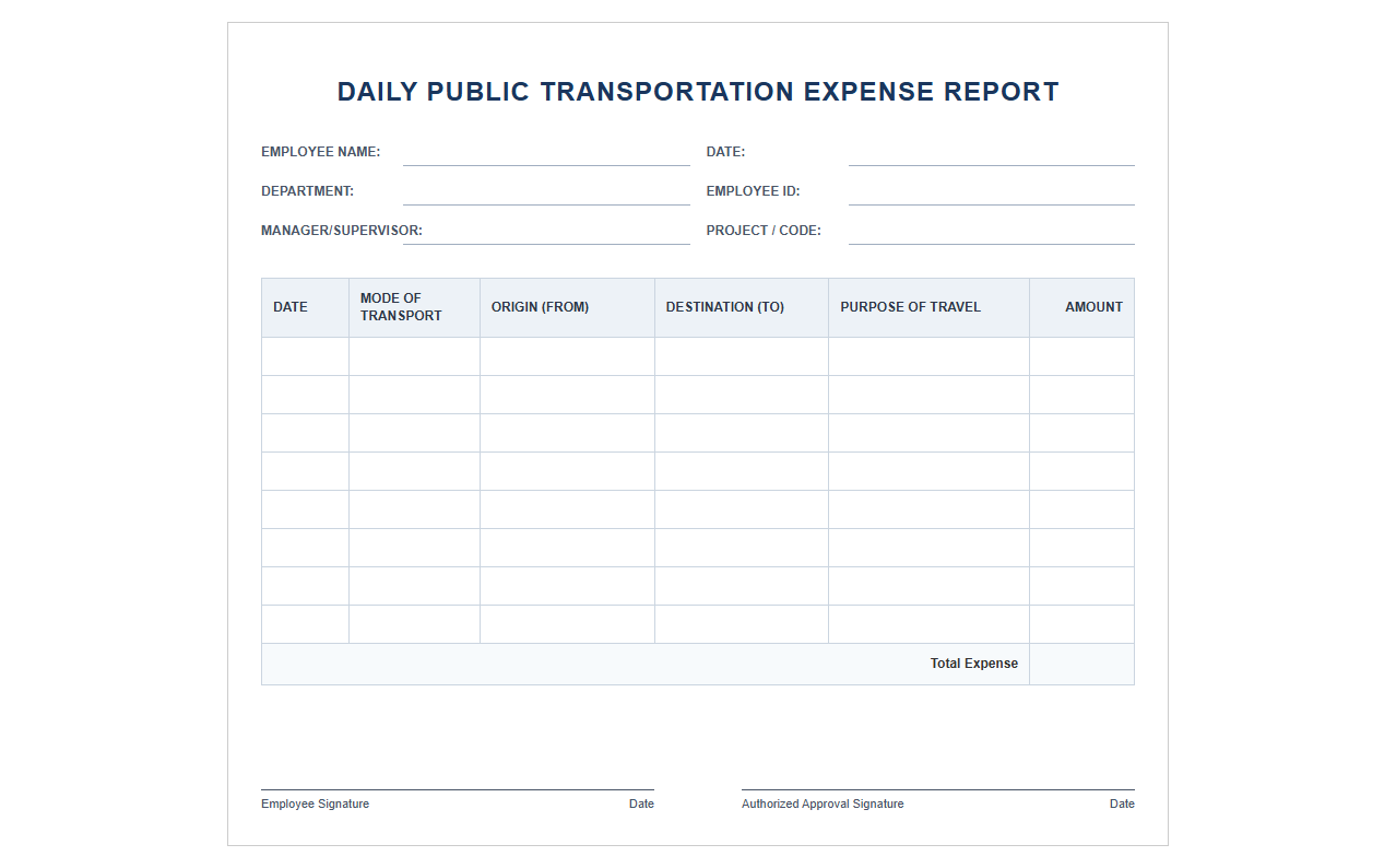 Daily Public Transportation Expense Report