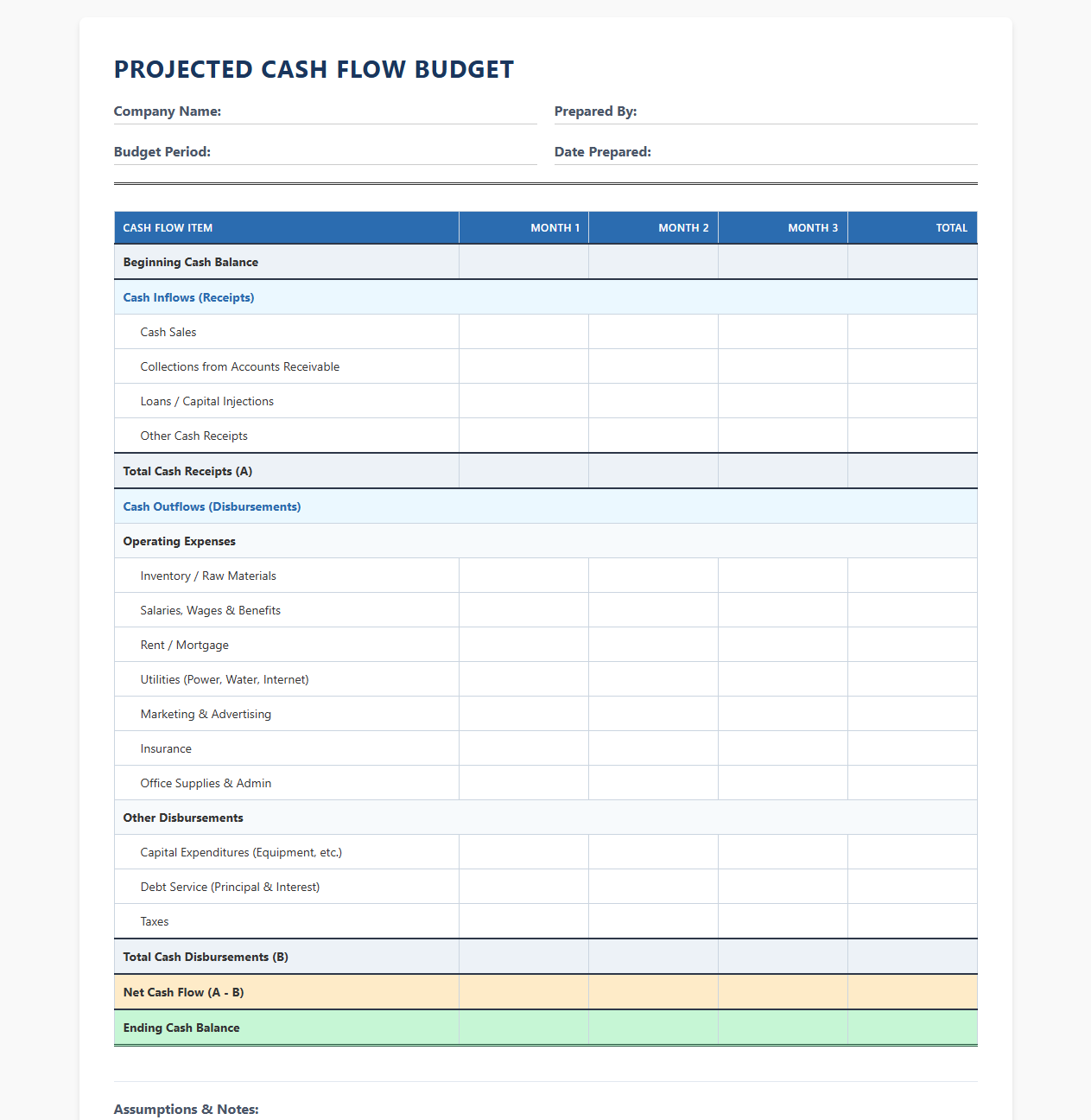 Projected Cash Flow Budget Statement Template