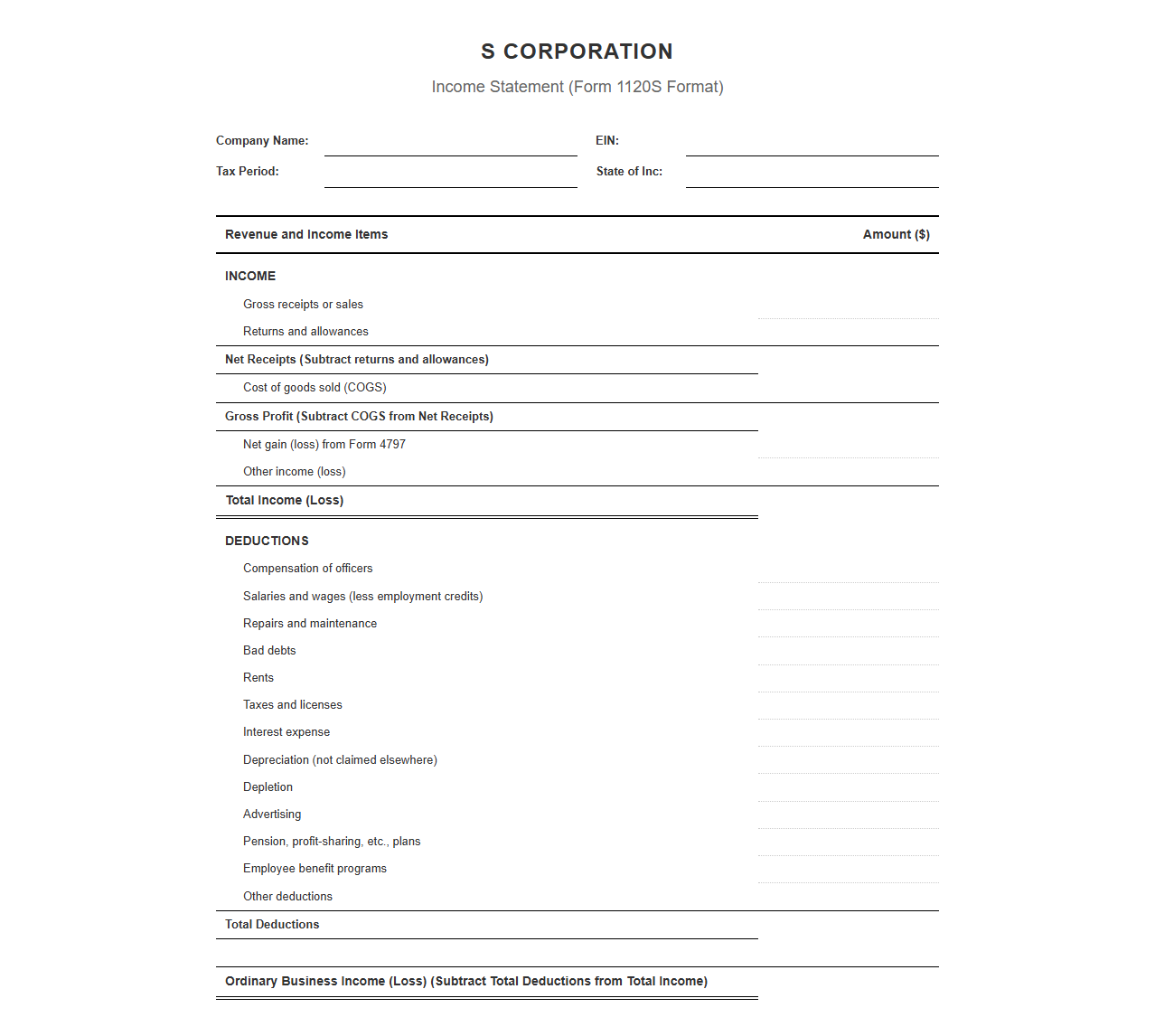 S Corporation Revenue and Income Statement Template