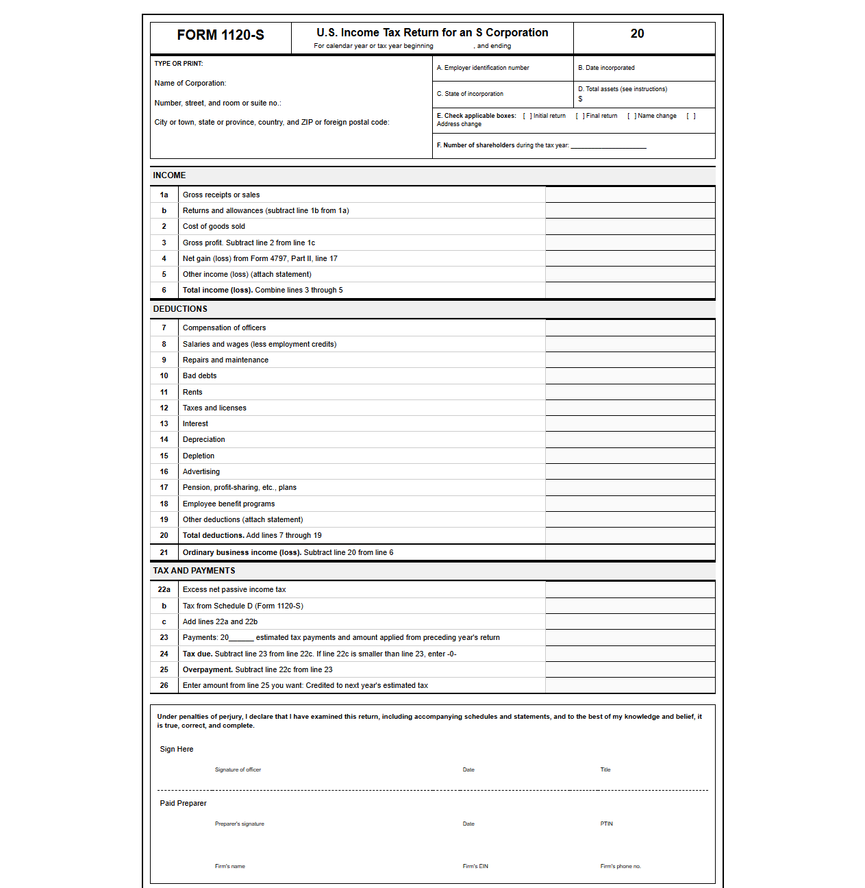 Income Tax Return Template for S Corps