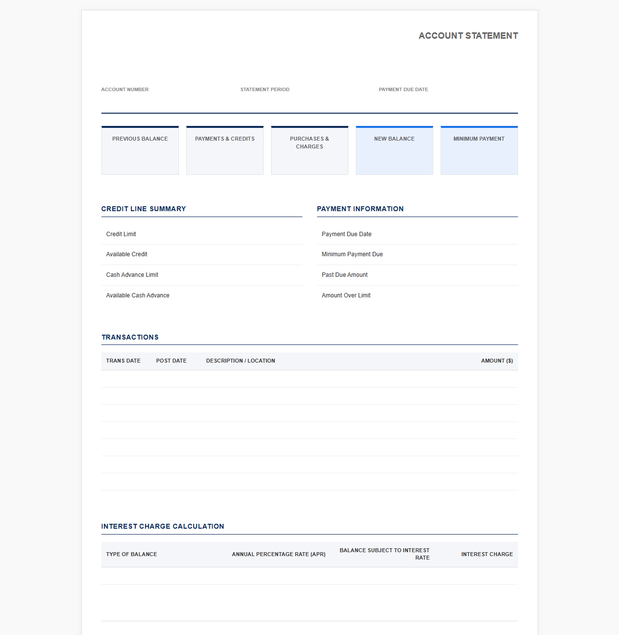 Monthly Credit Card Account Summary Sheet