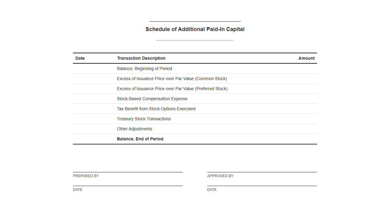 Schedule of Additional Paid-In Capital Template
