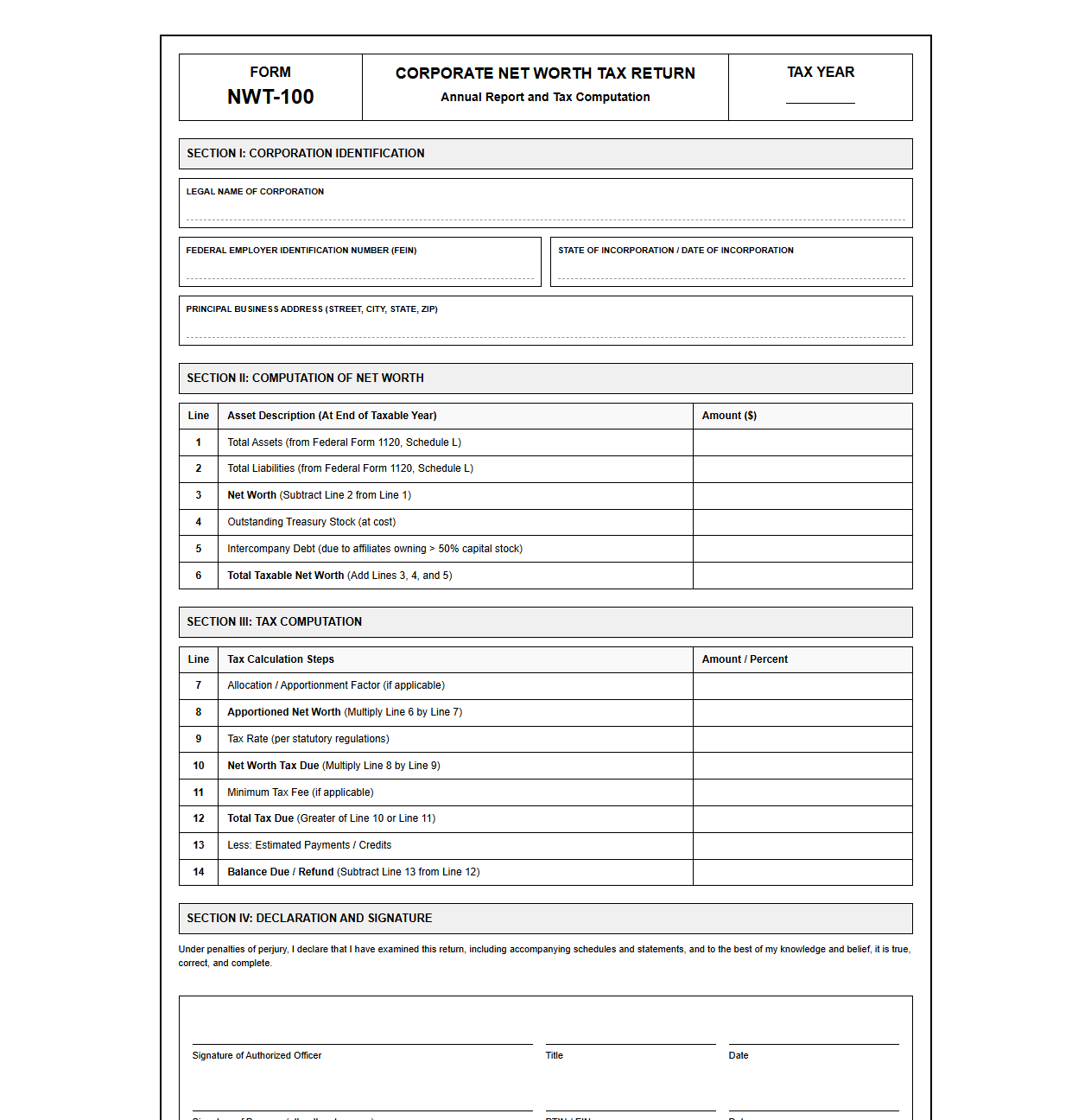 Business Net Worth Tax Reporting Template