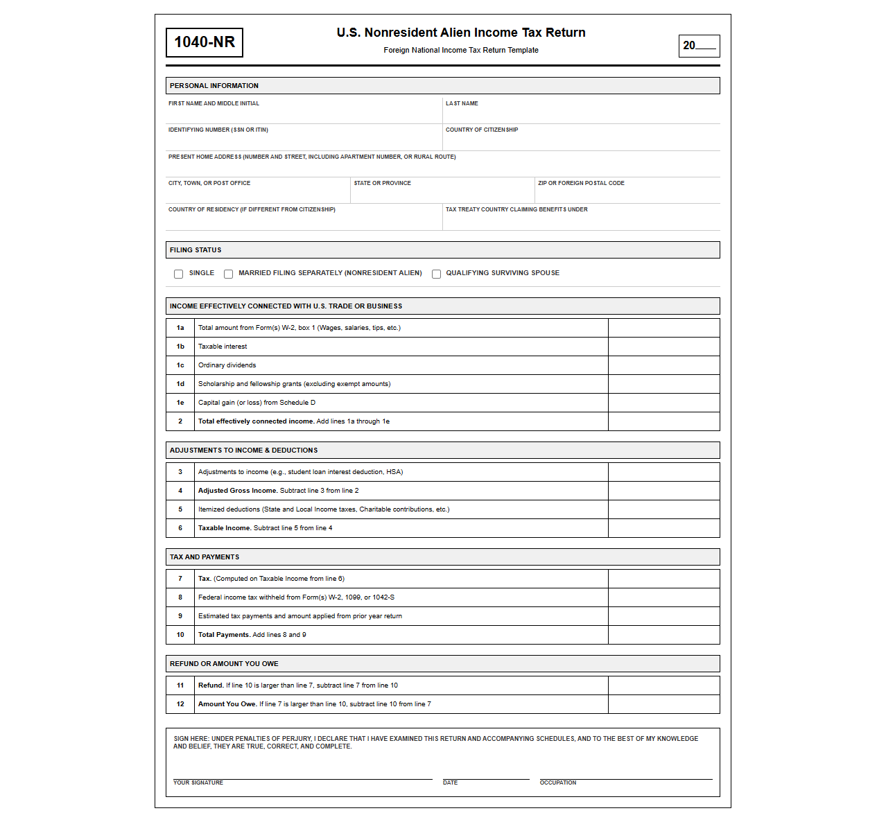 Foreign National Income Tax Return Template