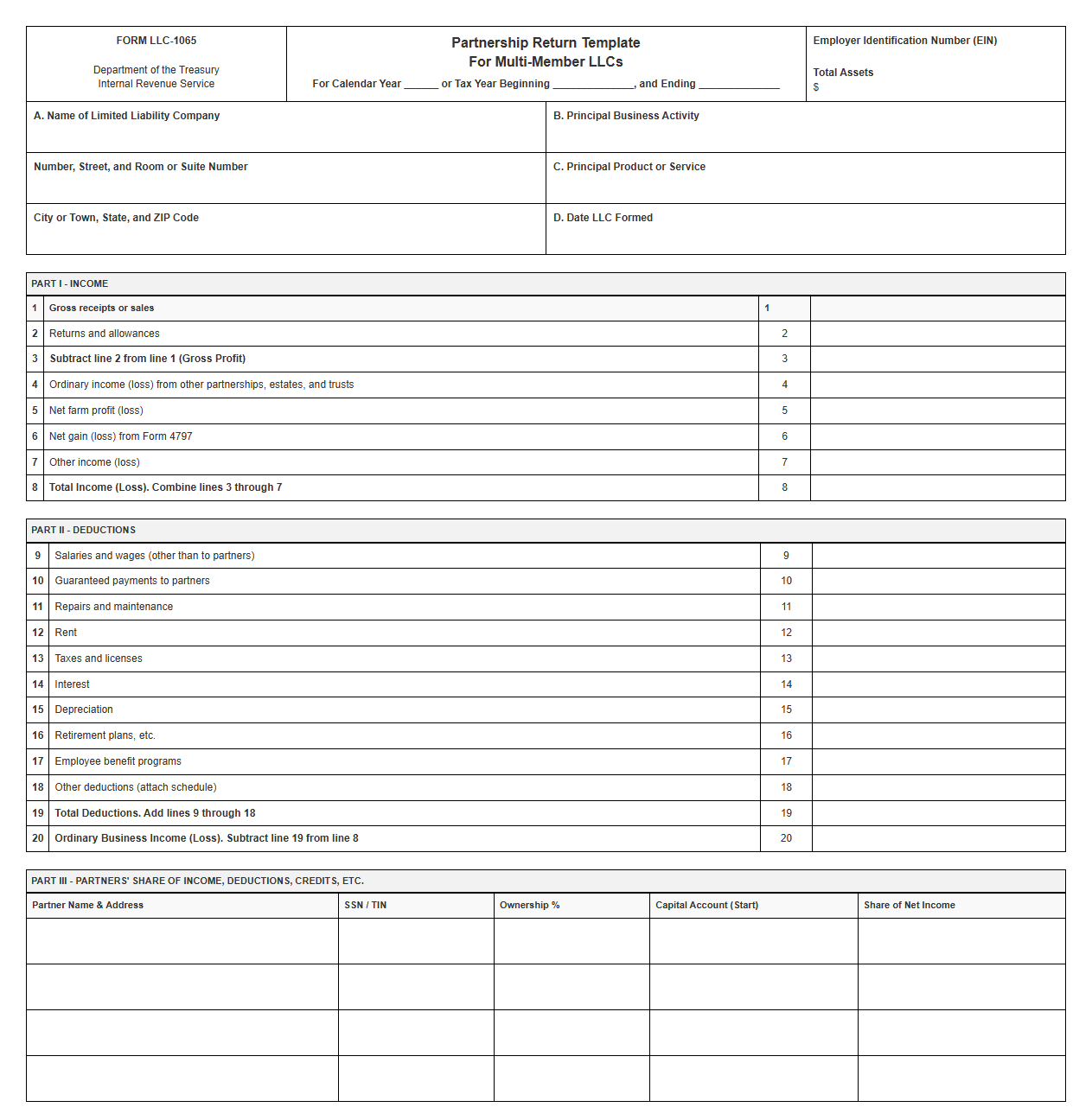 Partnership Return Template for Multi-Member LLCs