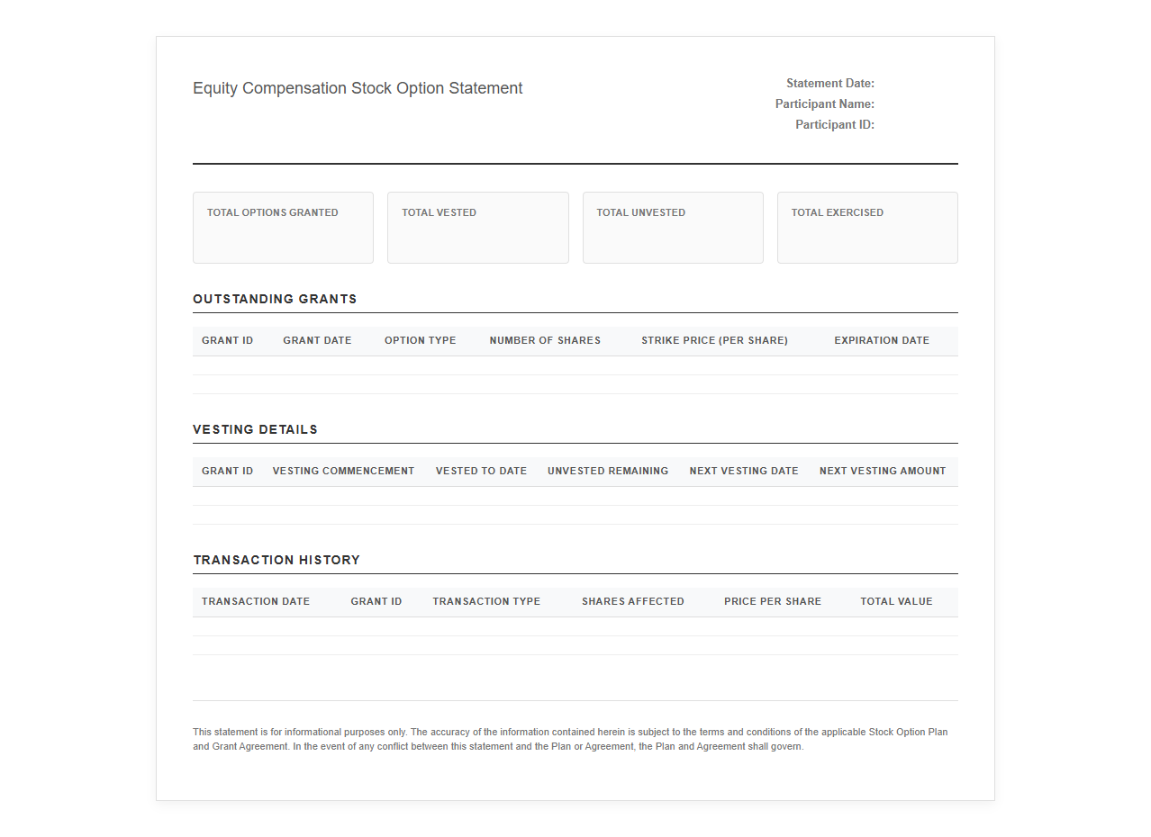 Equity Compensation Stock Option Statement