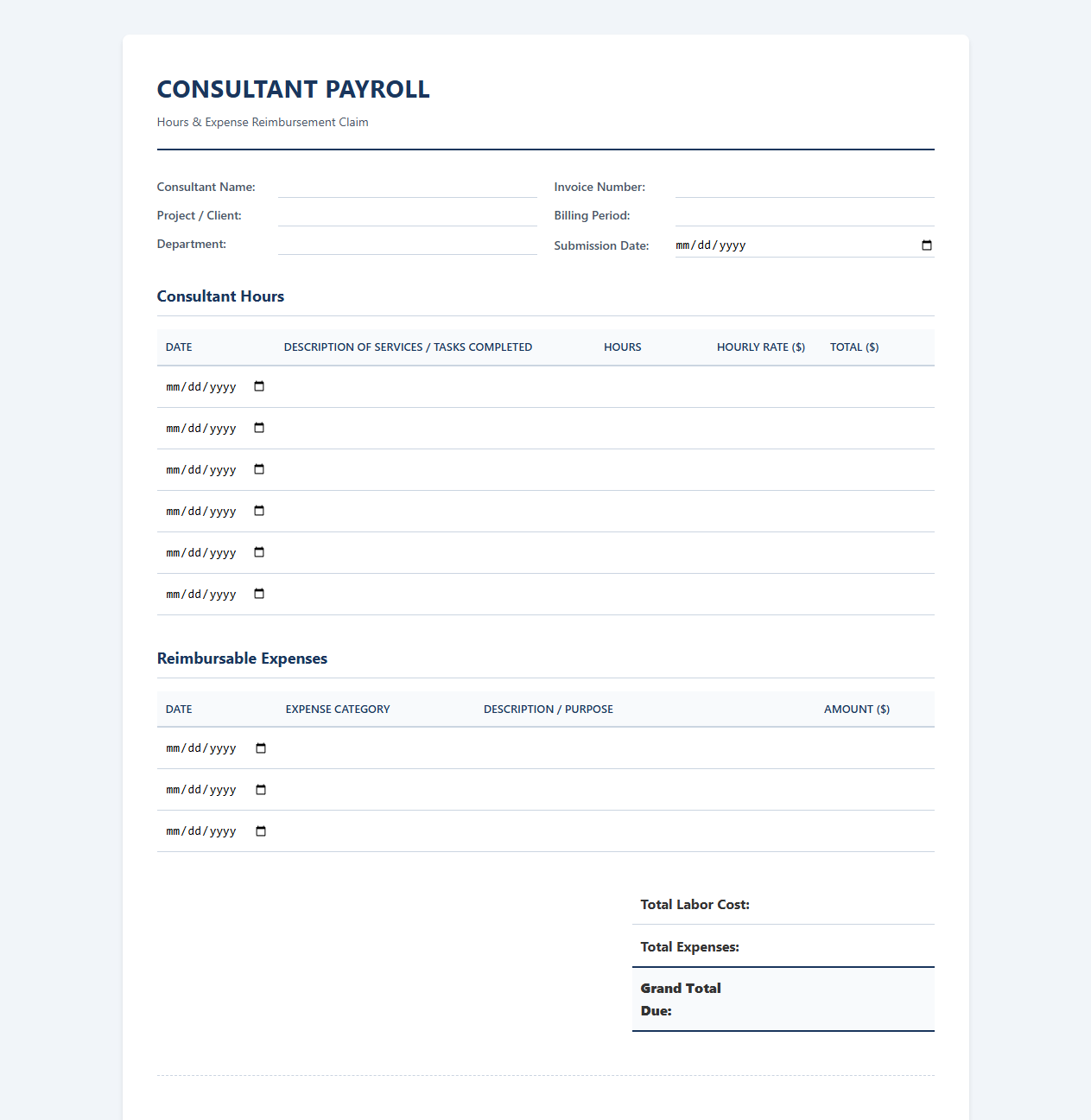 Professional Consultant Payroll and Expense Sheet