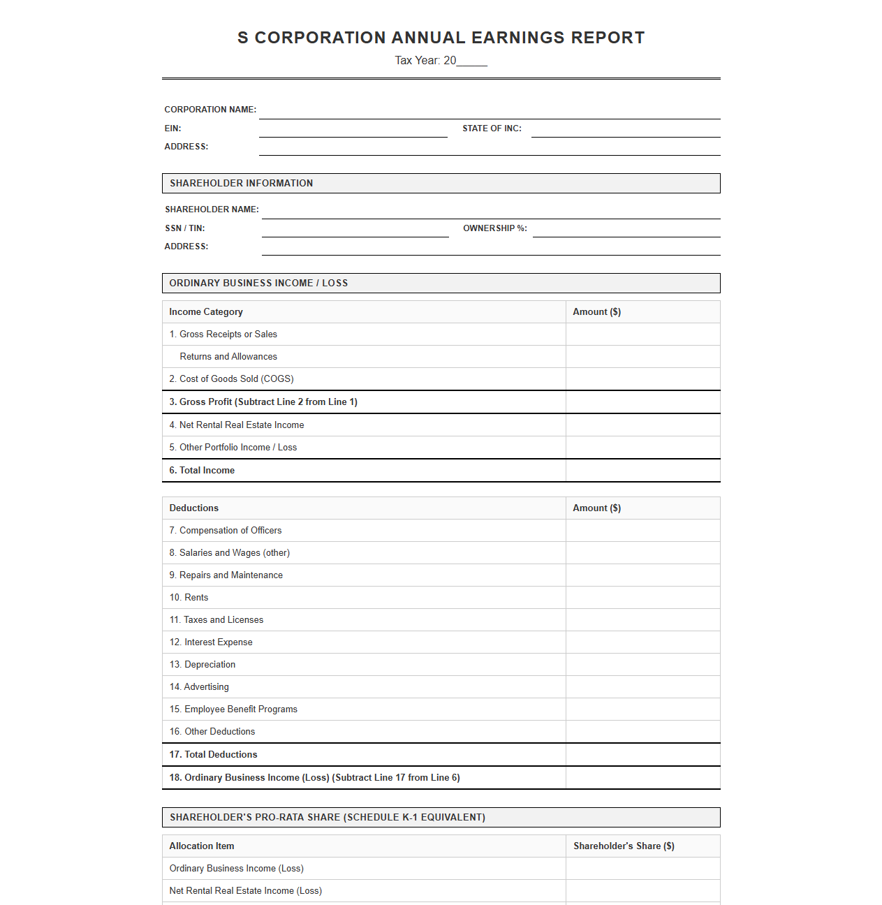 S Corporation Annual Earnings Report Template