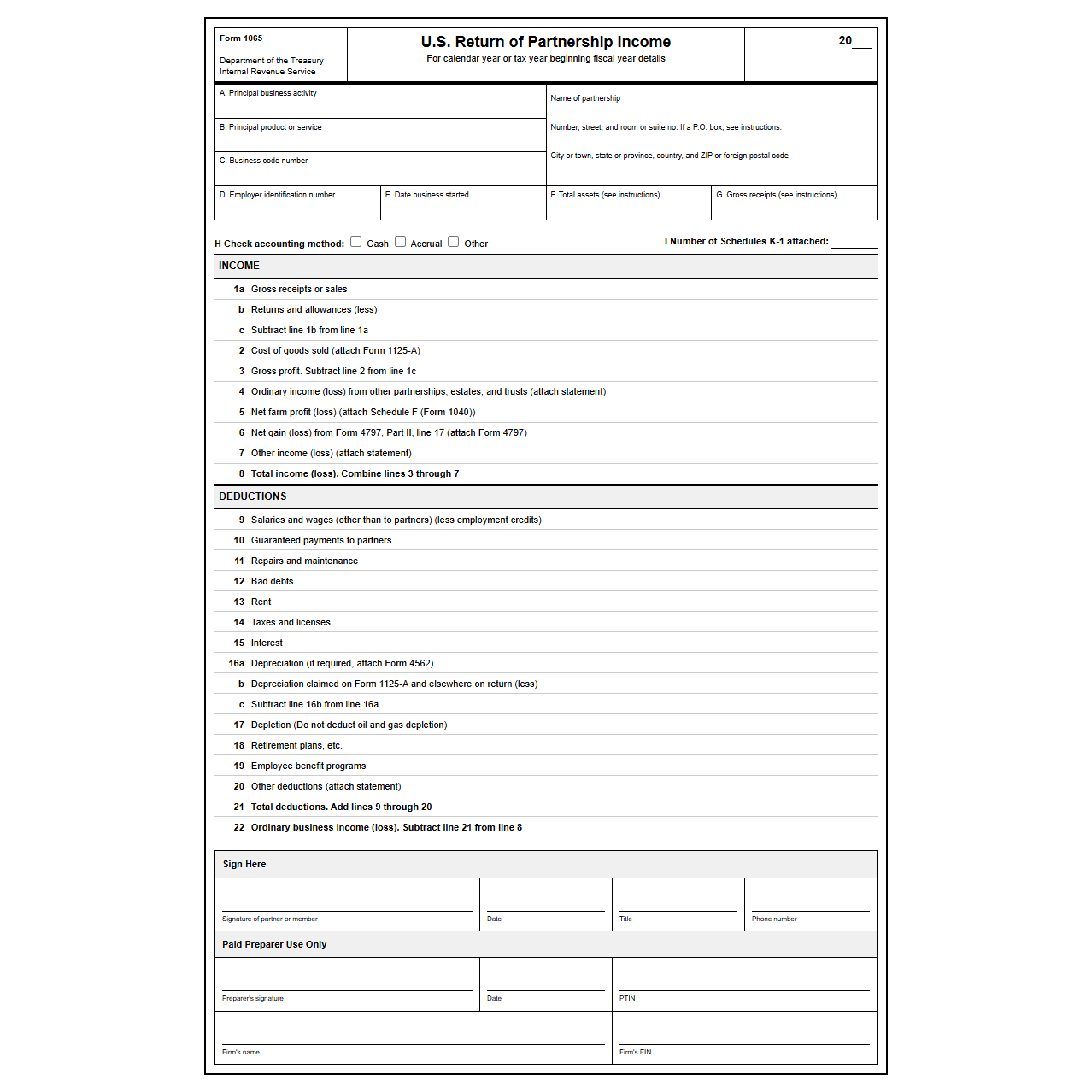 Form 1065 Partnership Tax Filing Template