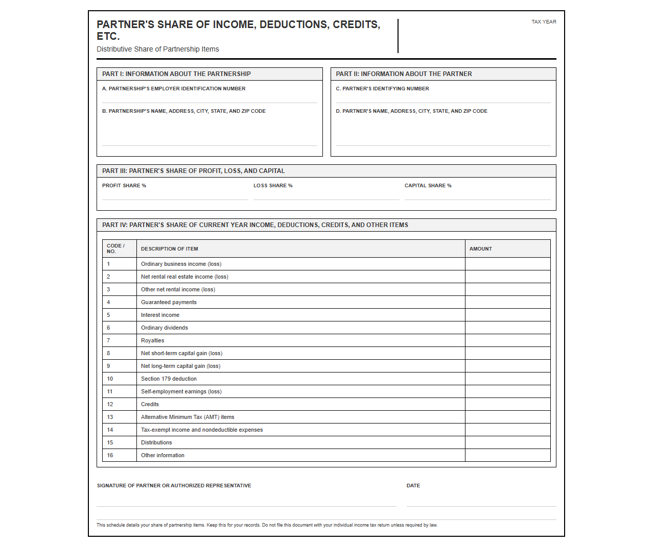 Partnership Distributive Share Return Template