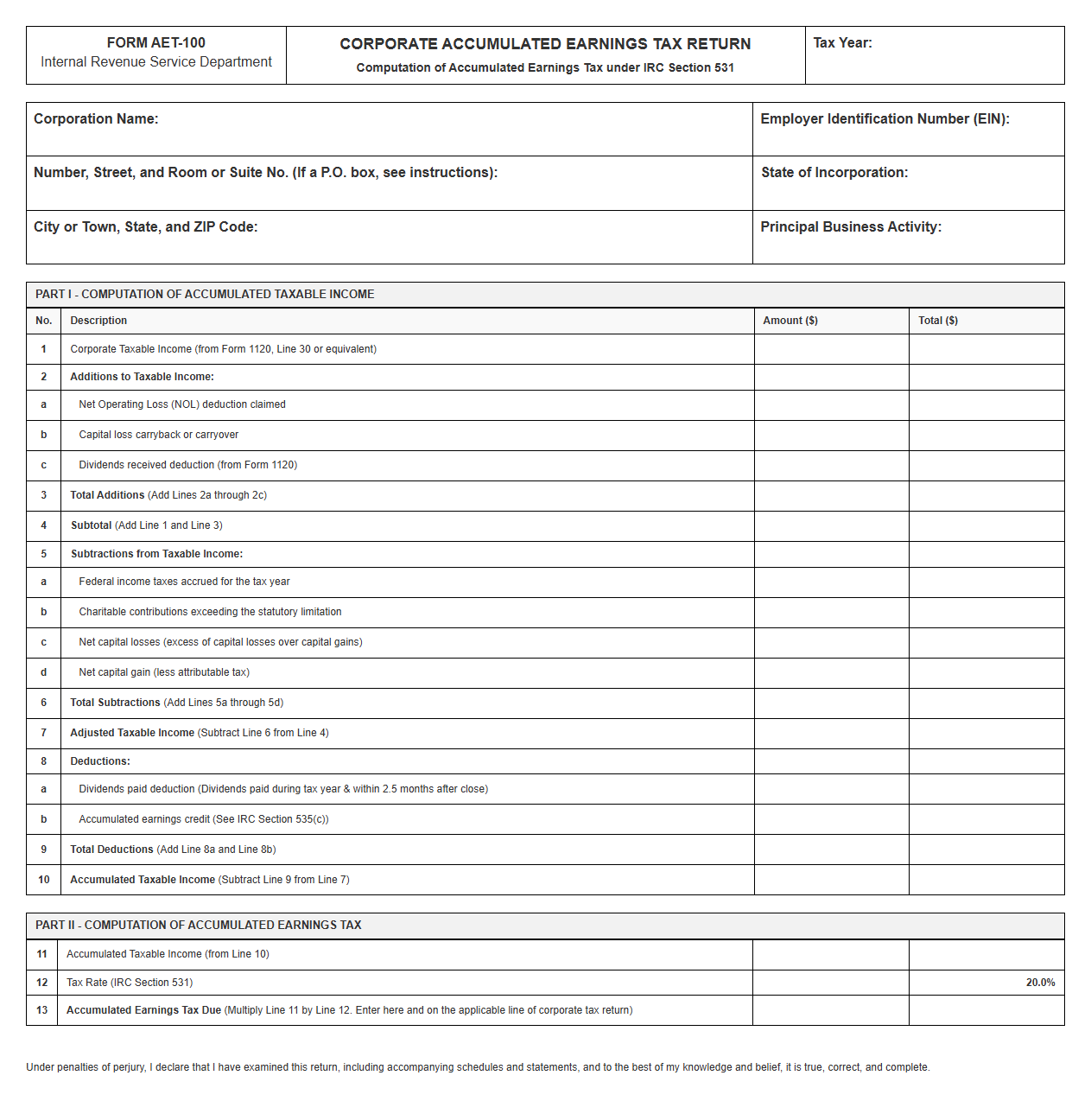 Accumulated Earnings Tax Return Template
