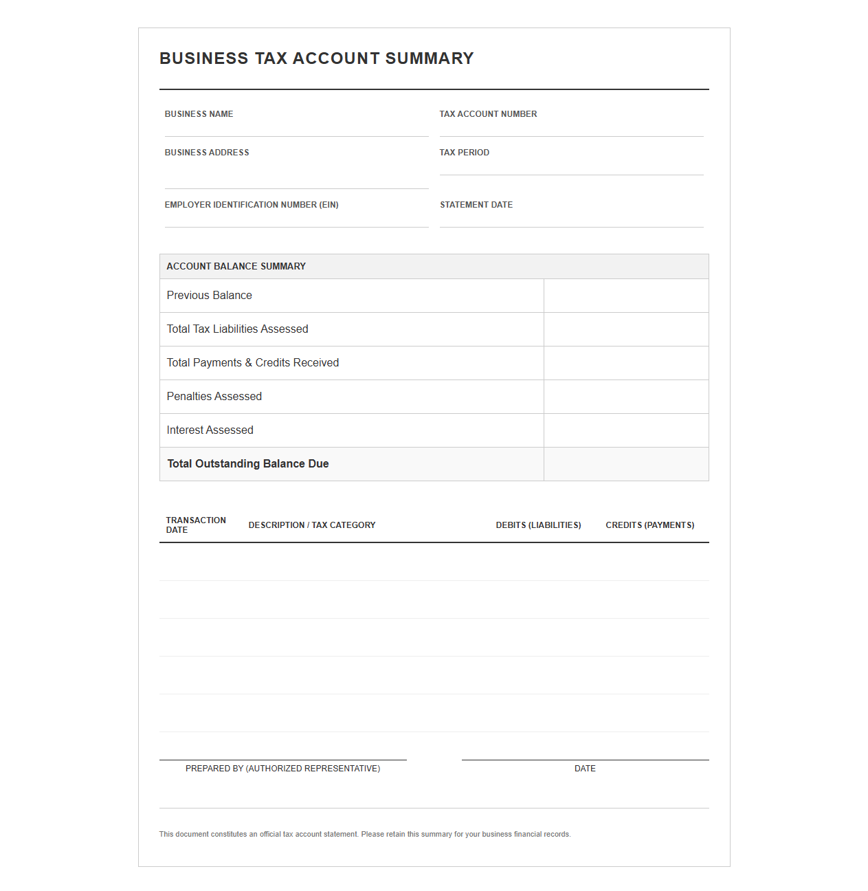 Business Tax Account Summary Template