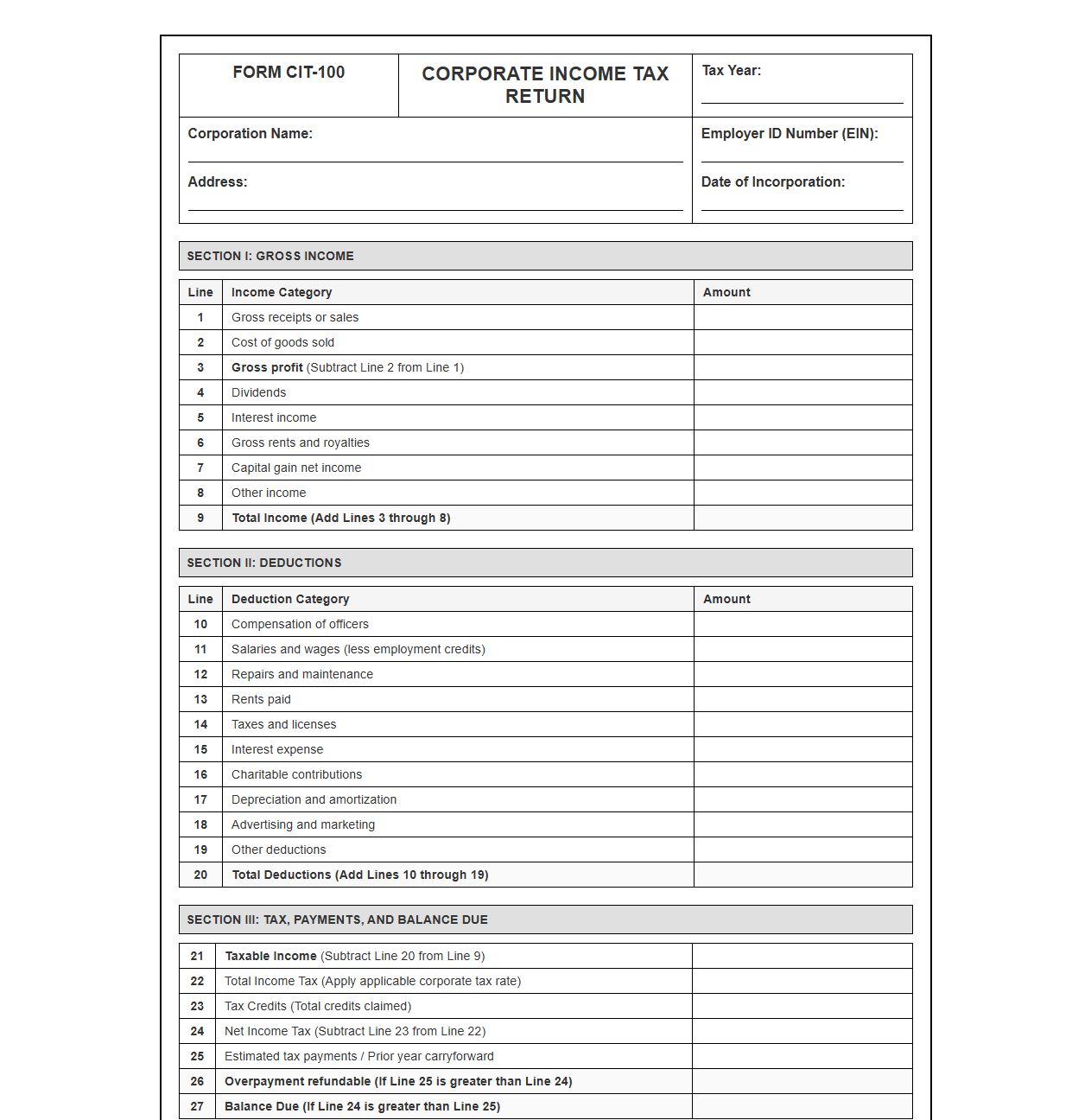 Corporate Tax Return Filing Template