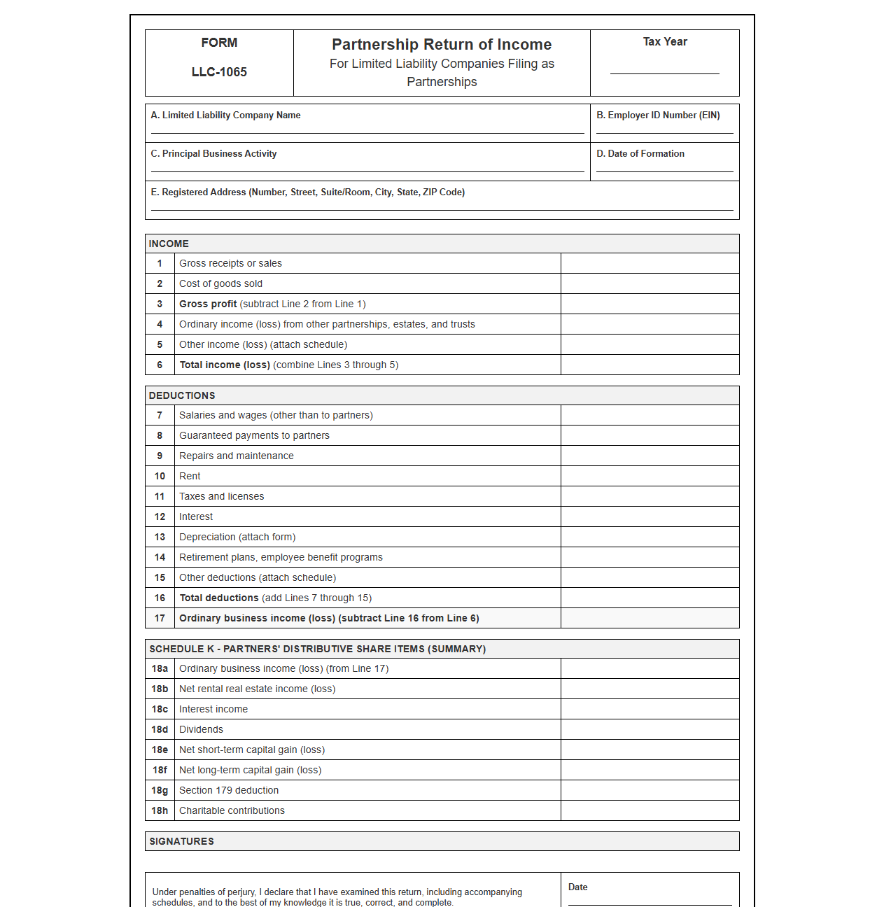 LLC Partnership Tax Return Template