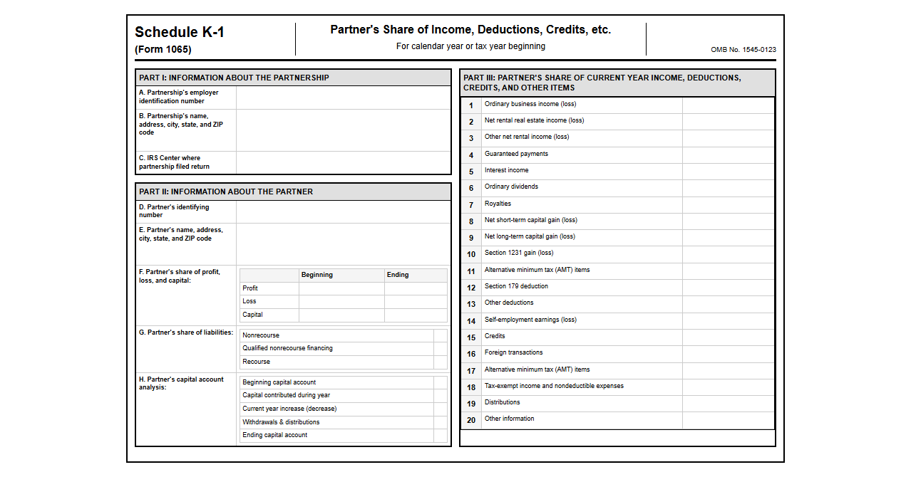 Partner Share K-1 Allocation Return Layout