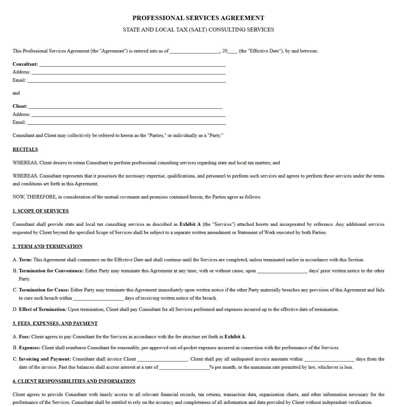 Professional Services Agreement for SALT Consulting