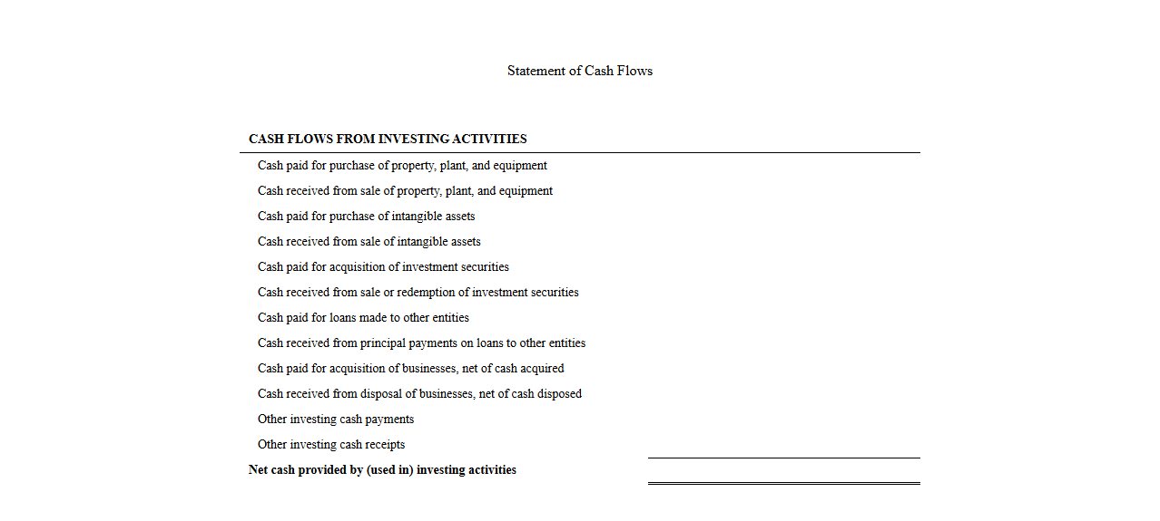 Statement of Cash Flows Investing Activities Template